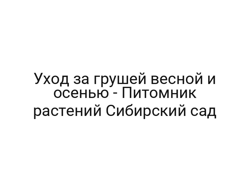 Уход за грушей весной и осенью — Питомник растений Сибирский сад