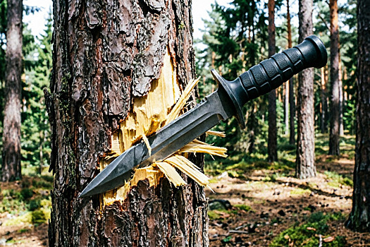 Экс-боевиков «Смерча» используют для казней солдат ВСУ